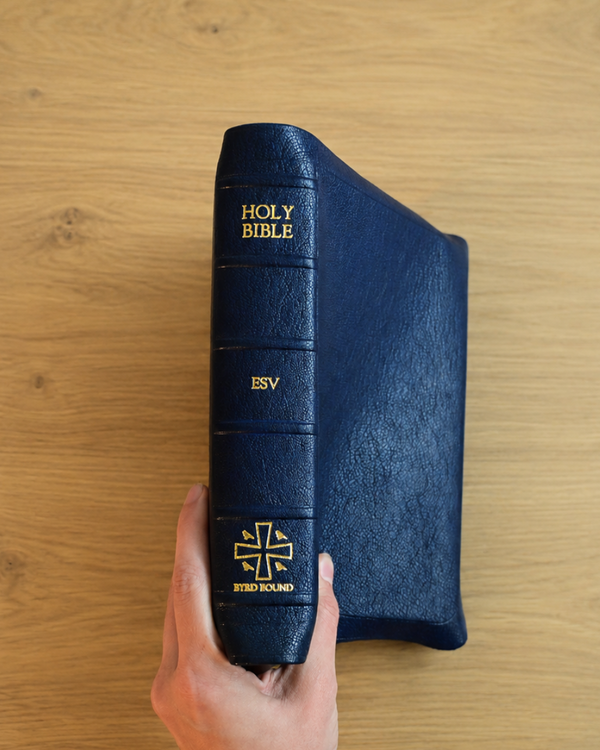 The Navigator Edition