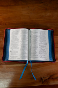 Spider-Man Edition Custom Bible Rebind