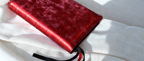 Gilded Edge and Ribbon Detail