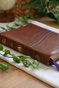 The Joshua Bible