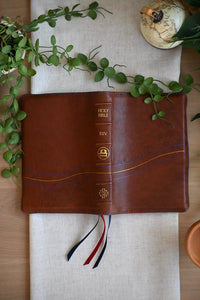 The Joshua Bible