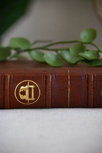 The Joshua Bible