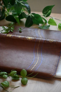 The Joshua Bible
