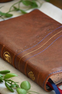 The Joshua Bible